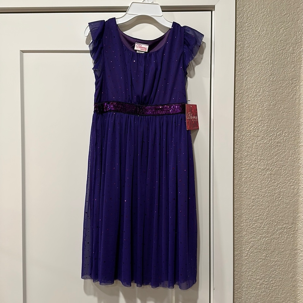 NWT. Plum sparkly holiday dress